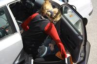 - Wenn ich jemanden mit schwachen Beinen unterstütze ins Auto zu gelangen, kann ich mich dazu auf die Autokante setzen. Dabei achte ich auf eine gute Position für mich